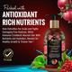 Oriental Botanics Pomegranate Vinegar Shampoo 300 ml - Shampoos