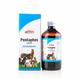 Dr. Bakshi's Bakson's Homoeopathy Pentaphos Liquid  (Veterinary) 450 ml - Pet Healthcare