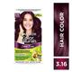 Garnier Color Naturals Creme hair color, Shade 3.16 Burgundy 130 gm - Crème