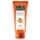 Biotique Bio Pro Lotion Carrot Spf 40 Sunscreen 50 ml - Body Sunscreen