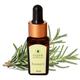 Organic Harvest Essential Oil - Rosemary 10 ml - Essential Oils