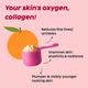 Plix The Plant Fix Collagen Supplement Powder For Women & Men Orange Flavour 400 gm - Hair & Skin