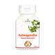 Pravek Ashwagandha Capsules 60's - Speciality Medicines