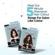 BBlunt Chocolate Dark Brown 5 Minute Shampoo Hair Colour for 100percent Grey Coverage 20ml each 5's - Shampoos
