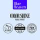 Blue Heaven Color Shine Mini Nail Polish Kit, Vacay Mood, Glossy Gel Finish, 25Ml 5's - Nail Polish