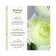 Plum Green Renewed Clarity Night Gel Fights Acne , Hydrates Skin 15ml - Night Cream