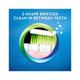 Oral B 123 Soft Toothbrush With Neem Extract 4's - Toothbrushes