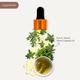 Dromen and Co Thyme Essential Oil for Skin and Hair 100% Pure and Natural 30 ml - Hair Oils