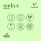 Vedistry Amla+ Tablet 60's (Buy 2 Get 1 Free) - Speciality Medicines