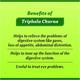 Baidyanath Triphala Churna 500 gm - Digestive Care