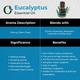 Organic Forest 100% VEGAN Eucalyptus Essential Oil 10 ml - Essential Oils