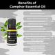 Organic Forest 100% VEGAN Camphor Essential Oil 10 ml - Essential Oils