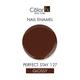 Color Fx PERFECT STAY 127 9 ml - Nail Polish