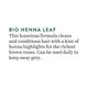 Biotique Henna Leaf Fresh Texture Shampoo & Conditioner 120 ml - Shampoos