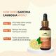 Rasayanam Garcinia Cambogia 1500 MG Liquid - Natural Mango Flavour 50 ml - Weight Loss