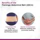 Flamingo Abdominal Belt - 14 cm Width (OC - 2019) (L) - Abdomen/Neck/Arm/Elbow Supports