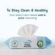 Mother Sparsh 98% Water Based Wipes (Pack of 3 x 80's) - Diapers & Wipes