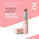 Zayn & Myza Transfer - Proof Power Matte Lipstick, Bare Beauty 3.2 gm - Lipsticks