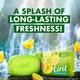 Liril Lime Soap (Buy 3 Get 1 Free) 500 g - Soaps
