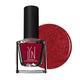 LYN Pink Collar Nail Polish 8 ml (N) - Nail Polish