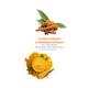 Alainne Turmeric and Cinnamon Facewash 100 gm - Face Washes