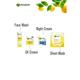 Garnier Skin Naturals Bright Complete Serum Cream 23 Gm - Day Cream