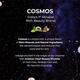 Cosmos by Bewakoof Magic Vitamin Face Sheet With Cucumber Vitamin E & Bamboo Sheet 25 gm - Sheet Masks