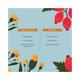 Juicy Chemistry Helichrysum & Rosehip Face Oil for Pigmentation & Scarring 10 ml - Face Oils