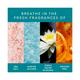Find Your Happy Place Sunkissed Ocean Waves Body Mist Sea Salt & Water Blossom 200 ml - Body Mist/Spray