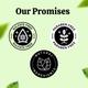 Riyo Herbs Green Tea Gel Cream 100 gm - Face Creams