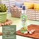 Buds & Berries Pistachio and Argan Oil Hair Serums Bottle 100 ml - Hair Serums