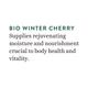 Biotique Winter Cherry Rejuvenating Body Nourisher 190 ml - Lotions & Creams