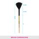 Vega Fan Makeup Brush, Wooden Color 2's - Face Brush
