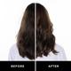 Hask Argan Repairing Hair Oil 59 ml - Hair Oils