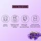 Mancode Lavender Facial Sheet Mask For All Skin Types 25 gm - Face Mask