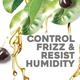 OGX Hydrate and Defrizz + Kukui Oil Conditioner, Paraben-Free, Sulfate-Free Surfactants 385 ml - Conditioners