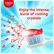 Colgate MaxFresh Anticavity Toothpaste Gel - Spicy Fresh 300 gm - Toothpaste