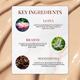 Just Herbs Hydrating Skin Tint Medium Coverage with SPF 15 + Brahmi + Lotus, Porcelain 20gm - Foundation