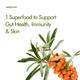 Kapiva Sea Buckthorn Juice 500 ml - Personal Care (Ayush)