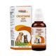 Dr. Bakshi's Bakson's Homoeopathy Creatinine Aid Drops (Veterinary) 30 ml - Pet Healthcare