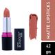 Bonjour Paris Silk Matte Lipstick-Nude Pink 4.2 gm - Lipsticks