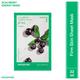 Innisfree Acai Berry Energy Mask 22 ml - Sheet Masks