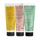 Arata Essential Morning Regime (Facewash, Face Cream & Toothpaste) 50ml each - Face Serum