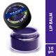Vaadi Herbals Lip Balm - Blueberry 10 gm - Lip Balms