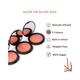 KIRO Glow - On Blush Duo 02 - Perfect Pink - Fresh Grapefruit 9 gm - Blushes