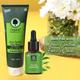 Organic Harvest Tea Tree Essential Oil 30 ml - Essential Oils