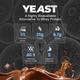 Nutrabay Yeast Protein Powder - Rich Chocolate Creme 1 kg - Whey Proteins