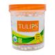 Tulips Cotton Swabs - Jar 100's - Cotton Wool & Swabs