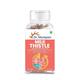 Dr. Morepen Milk Thistle Capsule 60's - Vital Health