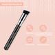 Miss Claire M45 - Angled Blending Brush (Chrome) 1's - Face Brush